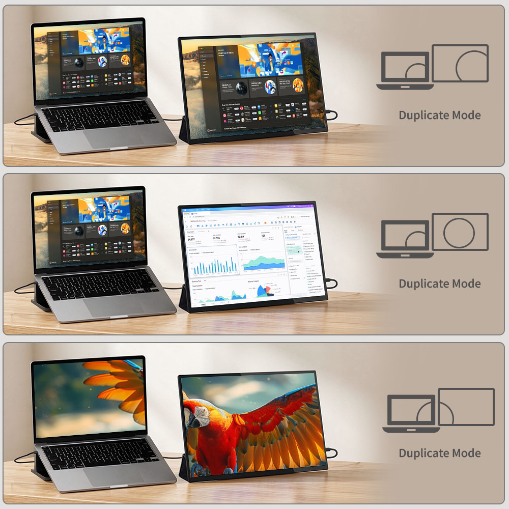 MAFNKOU 16 Inch Portable Touch - Portable Touchscreen Monitor For Laptop 评论和价格