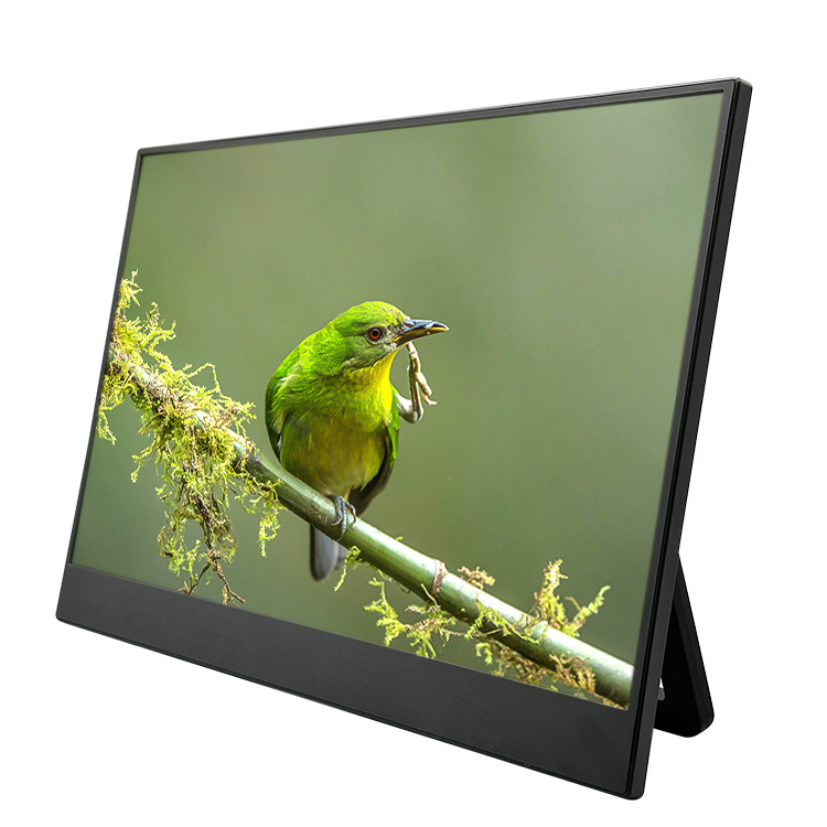 NEW 15.6 Inch Portable Monitor - Portable Monitor 15.6 Inch 1080P Type C 评论和价格