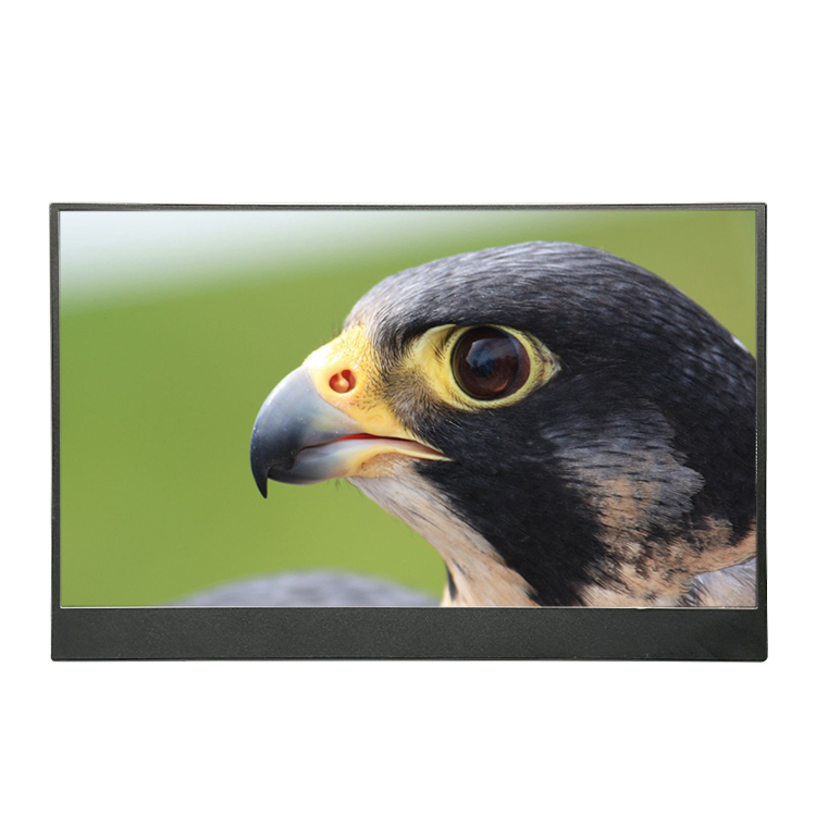 NEW 15.6 Inch Portable Monitor - Portable Monitor 15.6 Inch 1080P Type C 评论和价格