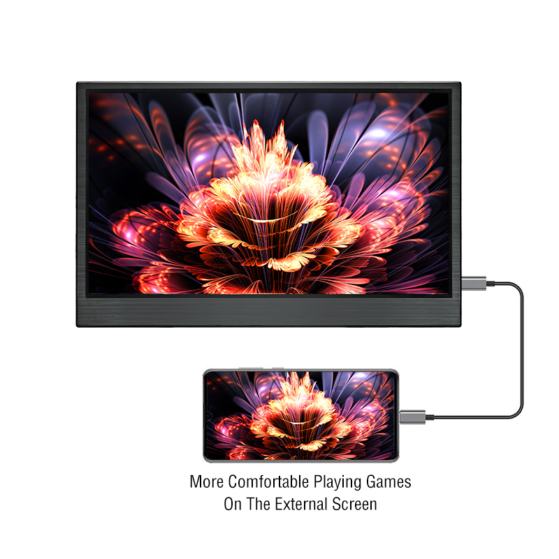 Anmite 15.6-Inch Portable Touc - Portable Monitor 15.6 Inch 1080P Type C 评论和价格