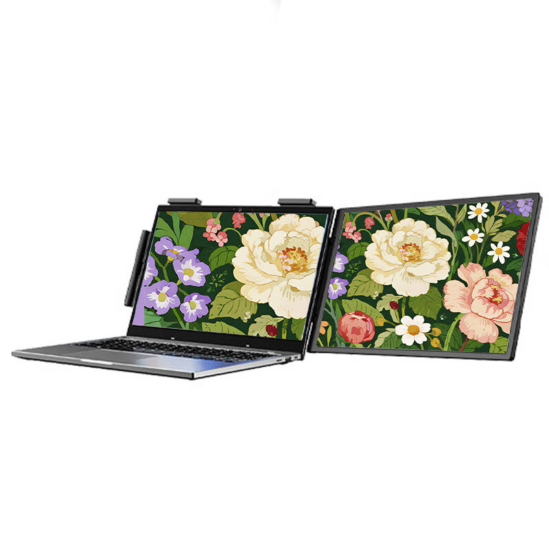 13.3 Inch FHD 1080P IPS LED Sc - Portable Touchscreen Monitor For Laptop 评论和价格