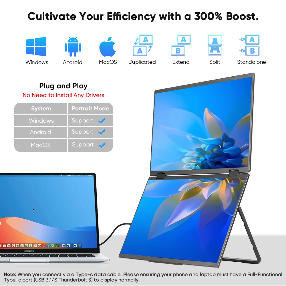 New OEM LCD Dual Screen Portab - Portable Monitor 15.6 Inch 1080P Type C 评论和价格